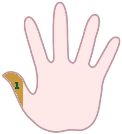 Mano destra, dito 1